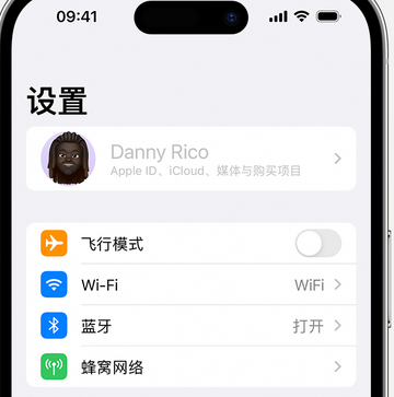 天安乡appleID维修服务iPhone设置中Apple ID显示为灰色无法使用