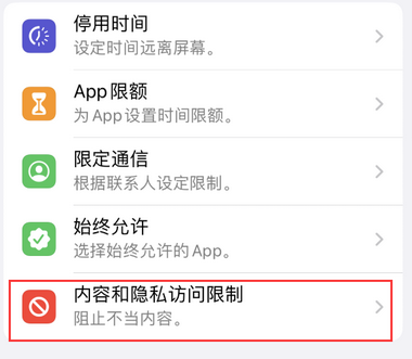 天安乡appleID维修服务iPhone设置中Apple ID显示为灰色无法使用