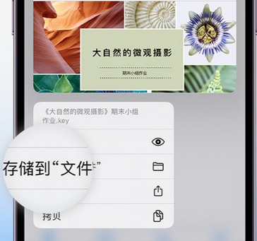 天安乡apple维修中心分享iPhone文件应用中存储和找到下载文件