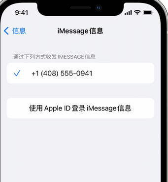 天安乡apple维修iPhone上无法正常发送iMessage信息