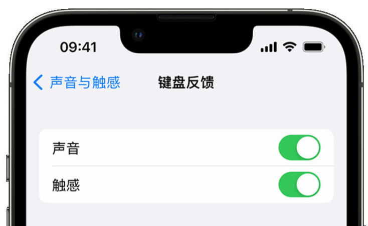 天安乡苹果手机维修分享iPhone 14触感键盘使用方法 