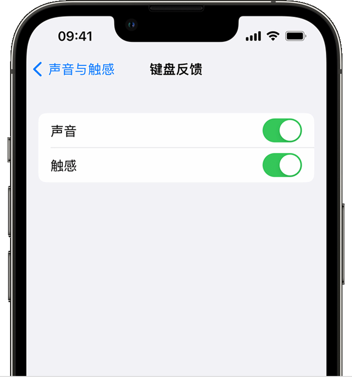 天安乡苹果14维修店分享如何在 iPhone 14 机型中使用触感键盘 