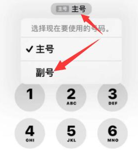 天安乡苹果14维修店分享iPhone 14 Pro Max使用副卡打电话的方法 