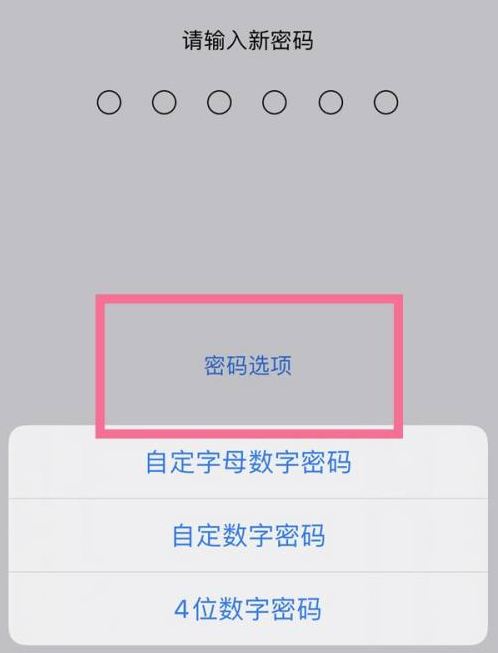 天安乡苹果14维修分享iPhone 14plus设置密码的方法 