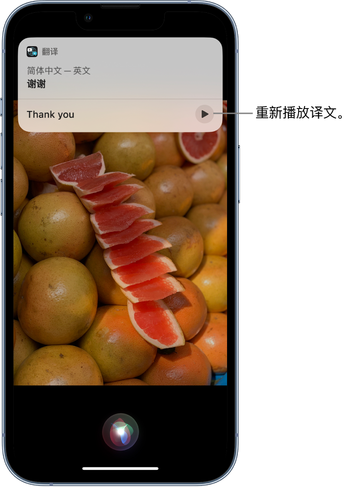 天安乡苹果14维修分享 iPhone 14 机型中使用 Siri：了解 Siri 能帮你做什么 