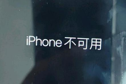 天安乡苹果服务网点分享锁屏界面显示“iPhone 不可用”如何解决 