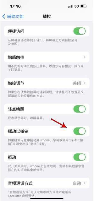 天安乡苹果手机维修分享iPhone手机如何设置摇一摇删除文字 