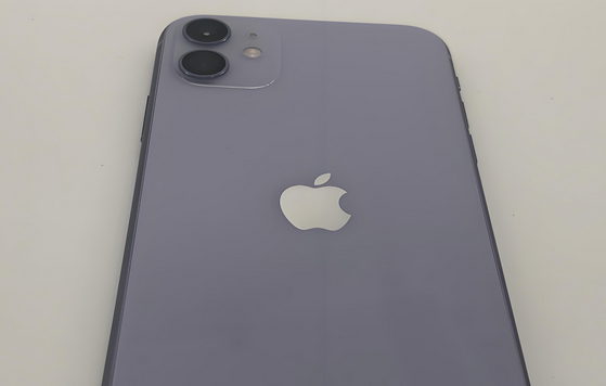 天安乡苹果11系统维修分享iPhone11手机系统崩溃无法开机如何解决